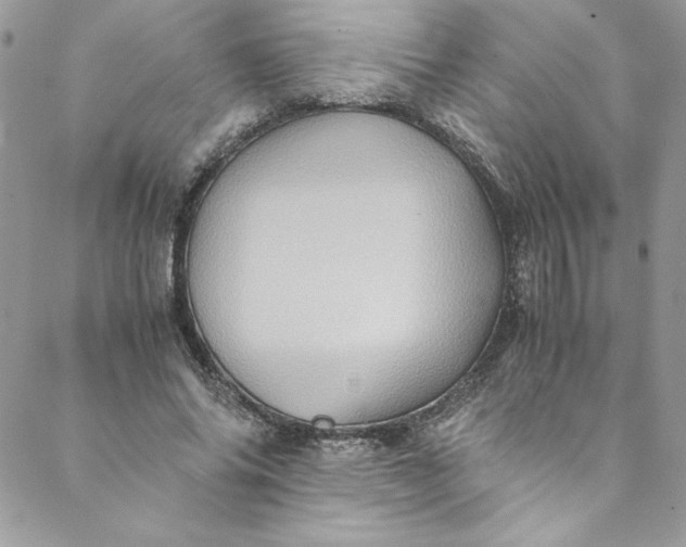 X0000088600686200706081353