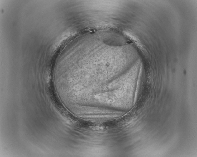 X0000088600687200706081353