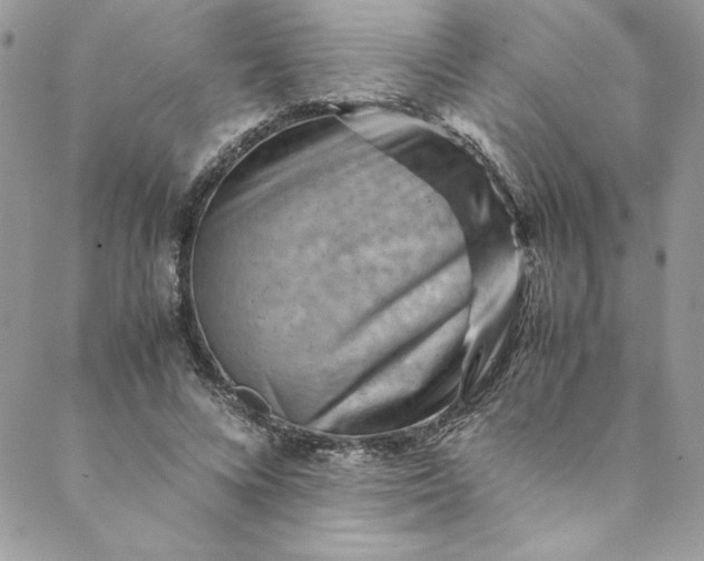 X0000088600688200706081353