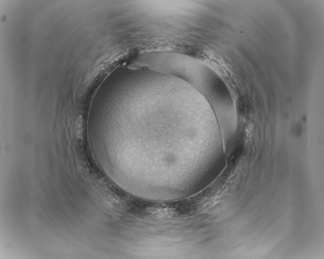 X0000088600689200706081353