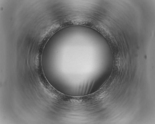 X0000088600690200706081353