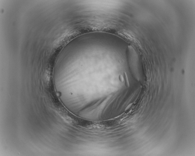 X0000088600691200706081353