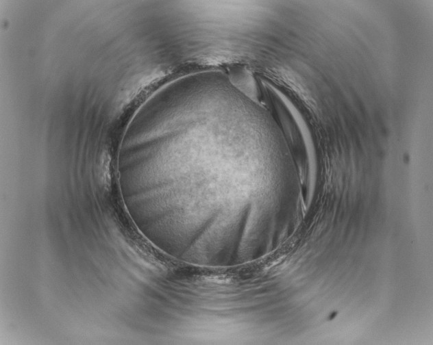 X0000088600692200706081353