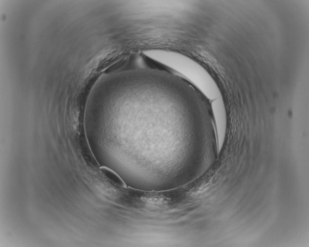 X0000088600693200706081353