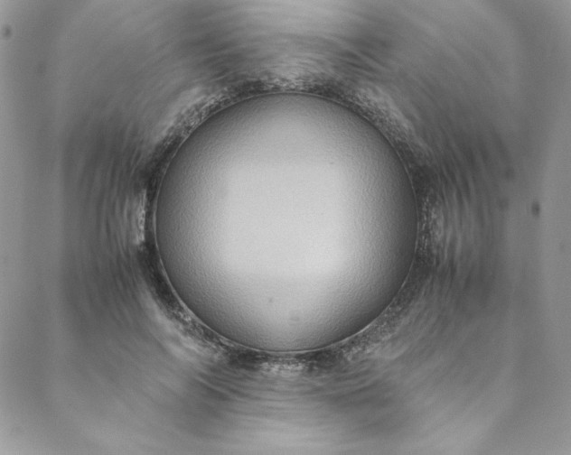 X0000088600694200706081353