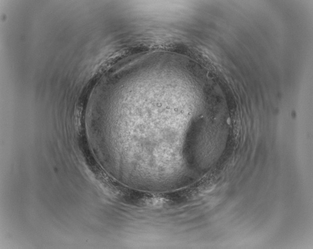 X0000088600695200706081353