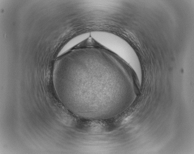 X0000088600697200706081353