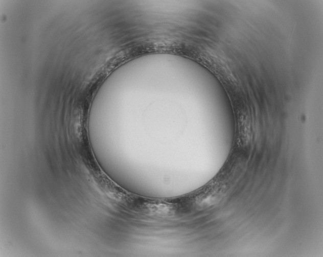 X0000088600698200706081353