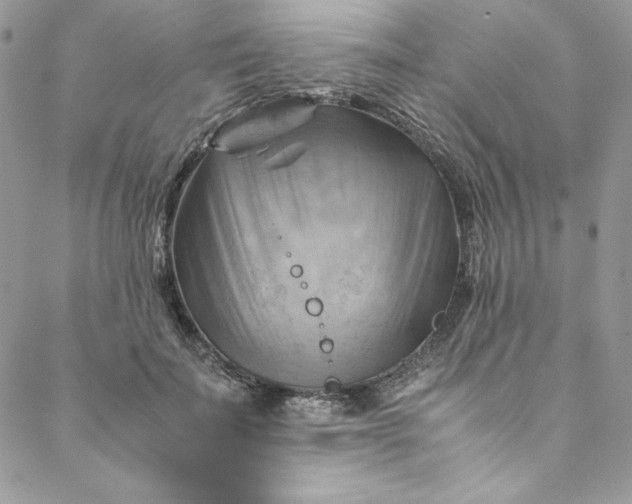 X0000088600699200706081353