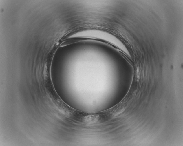 X0000088600700200706081353