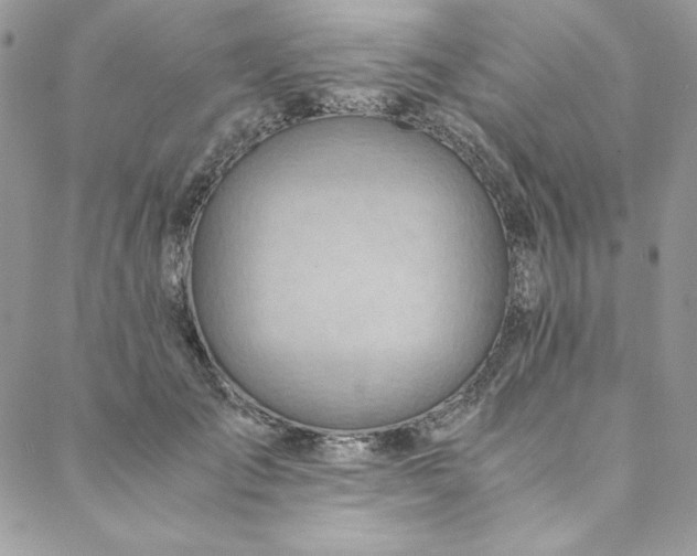 X0000088600701200706081353