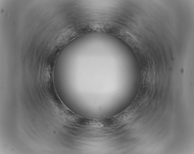 X0000088600702200706081353