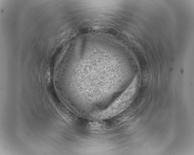 X0000088600703200706081353