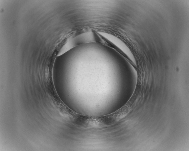 X0000088600704200706081353