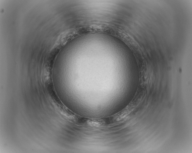 X0000088600706200706081353