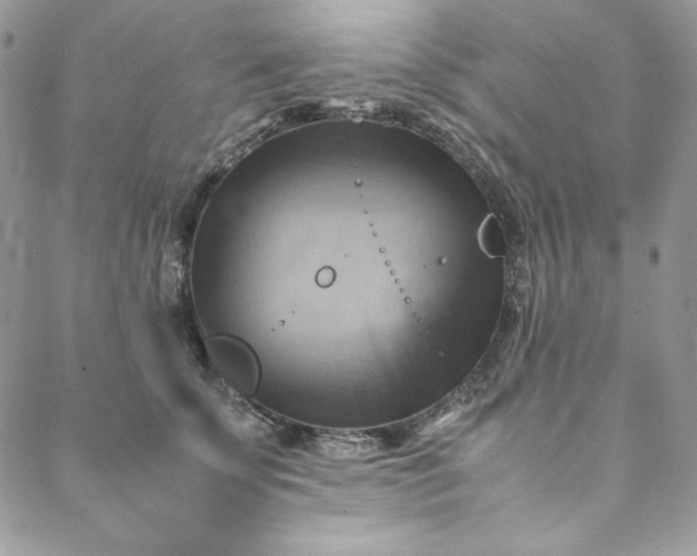 X0000088600707200706081353