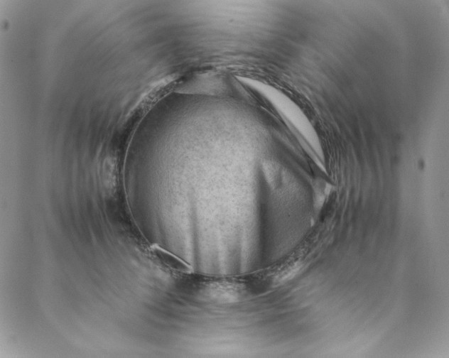 X0000088600708200706081353