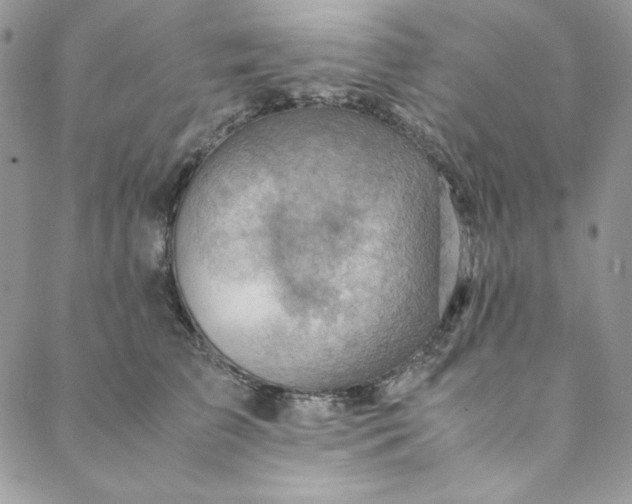 X0000088600709200706081353