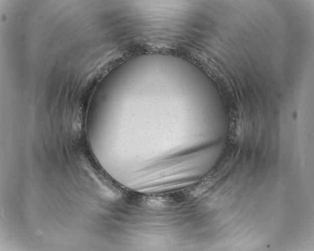 X0000088600710200706081353