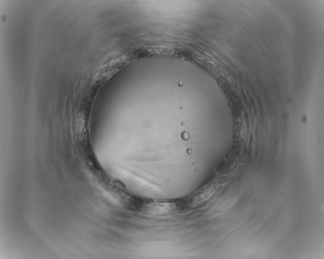 X0000088600711200706081353