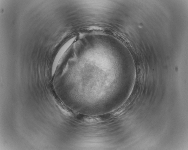 X0000088600712200706081353