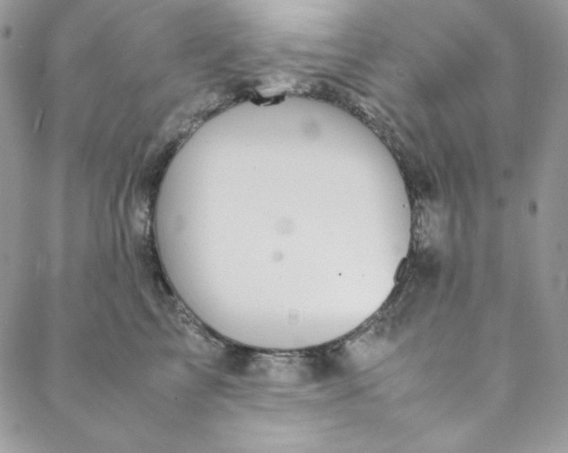 X0000088600713200706081353