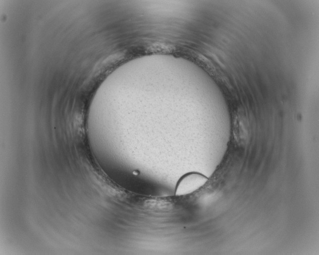 X0000088600714200706081353