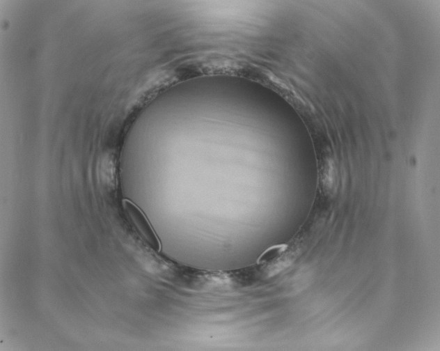 X0000088600715200706081352