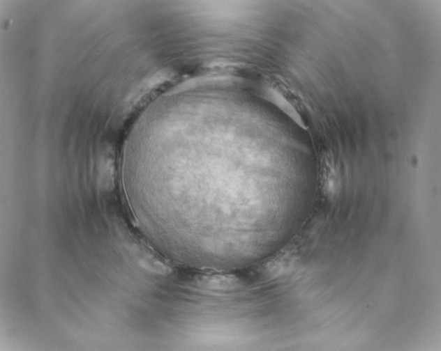 X0000088600716200706081352