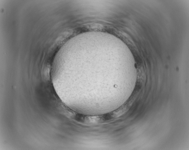 X0000088600717200706081352