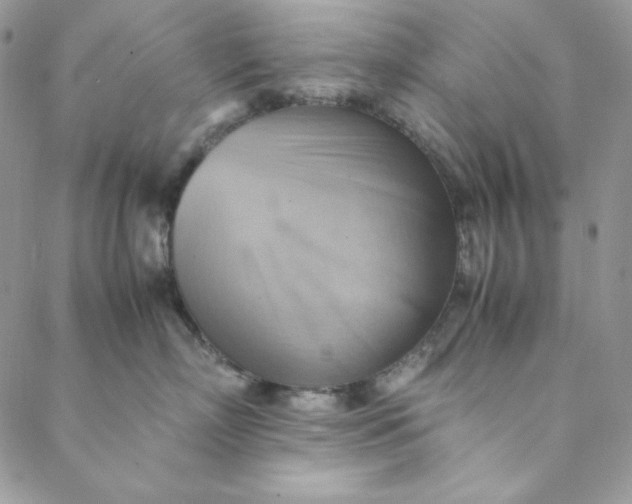 X0000088600718200706081352