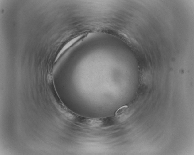 X0000088600719200706081352