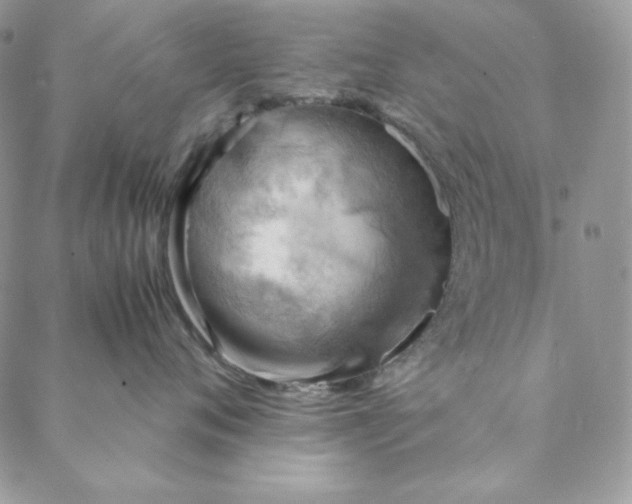 X0000088600720200706081352