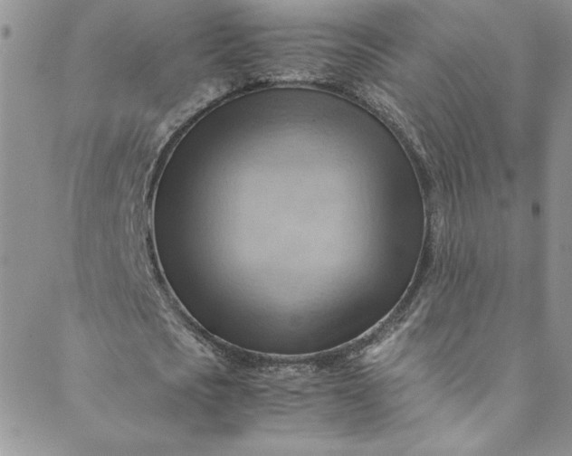 X0000088600721200706081352