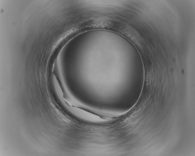 X0000088600722200706081352