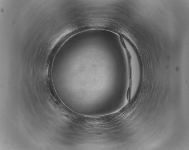 X0000088600723200706081352