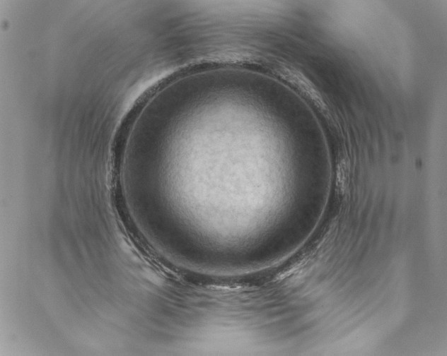 X0000088600724200706081352