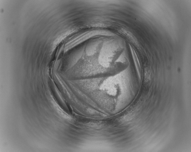 X0000088600725200706081352