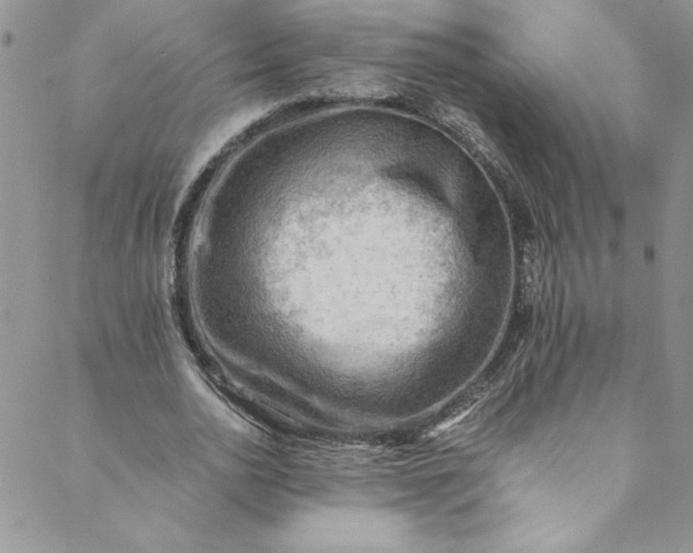 X0000088600726200706081352