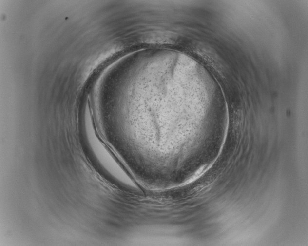 X0000088600727200706081352