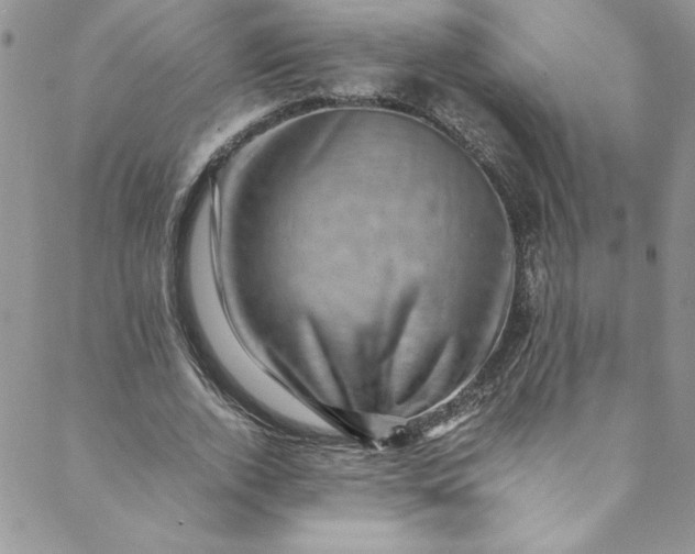 X0000088600728200706081352