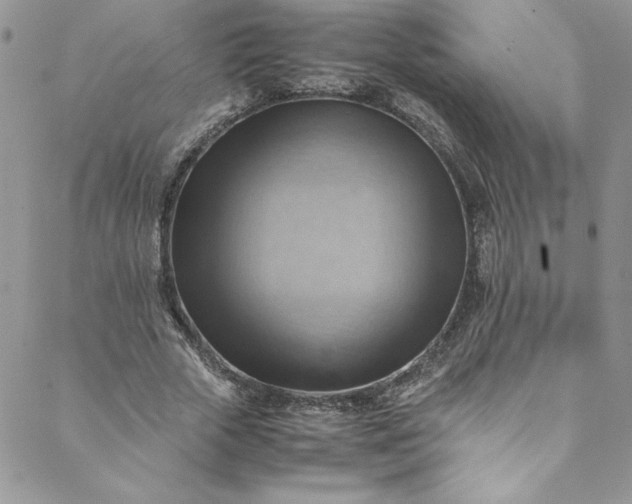 X0000088600729200706081352