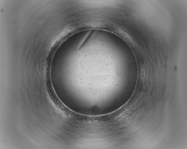 X0000088600730200706081352