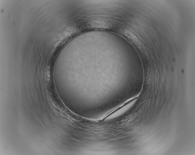 X0000088600731200706081352