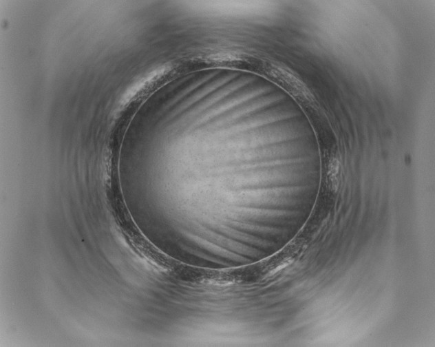 X0000088600732200706081352