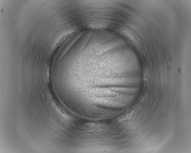 X0000088600733200706081352