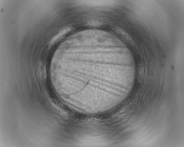 X0000088600734200706081352