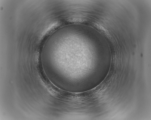 X0000088600735200706081352