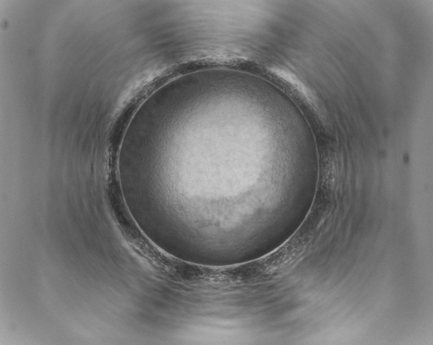 X0000088600736200706081352