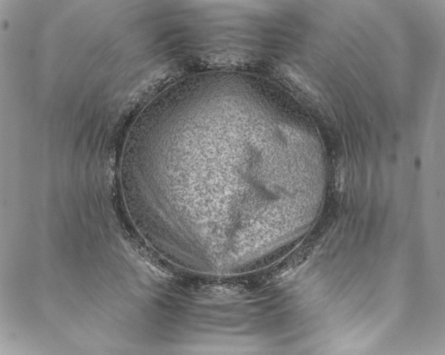 X0000088600737200706081352